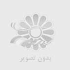 fatemeh jolfaie